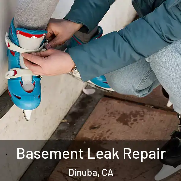  Basement Leak Repair Dinuba, CA