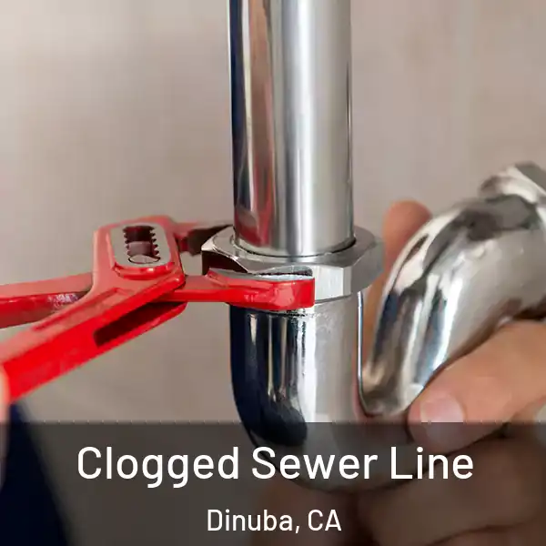  Clogged Sewer Line Dinuba, CA