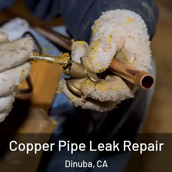  Copper Pipe Leak Repair Dinuba, CA