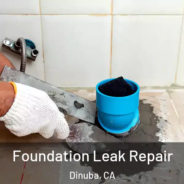  Foundation Leak Repair Dinuba, CA