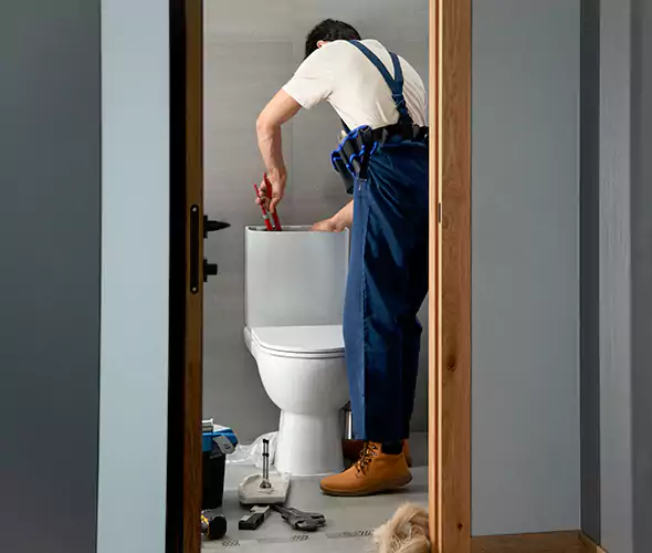Professional Plumbers for Toilet Bowl Replacement in Dinuba, CA: Schedule Affordable Toilet Replacement Services With Us