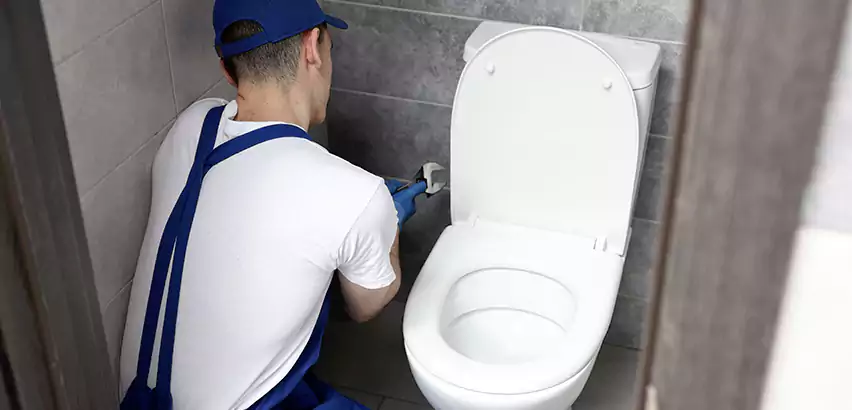 Toilet Lid Replacement in Dinuba