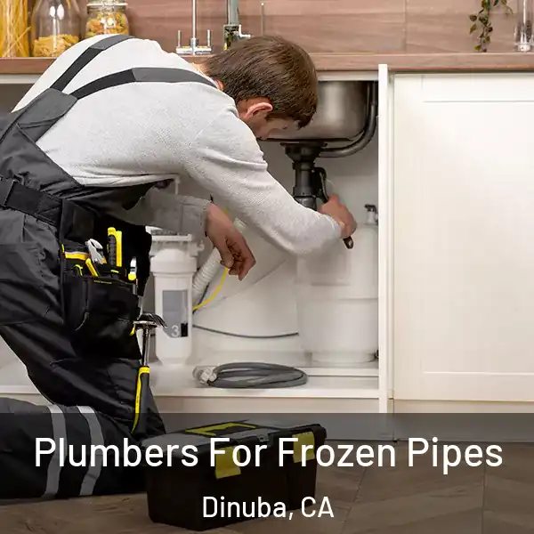  Plumbers For Frozen Pipes Dinuba, CA