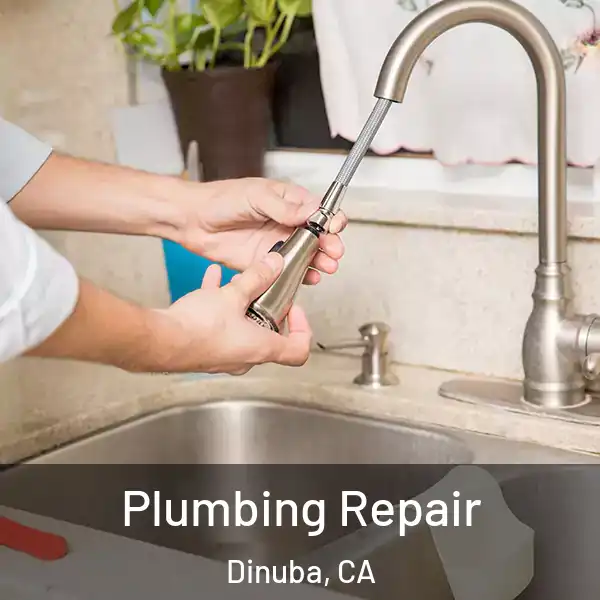  Plumbing Repair Dinuba, CA
