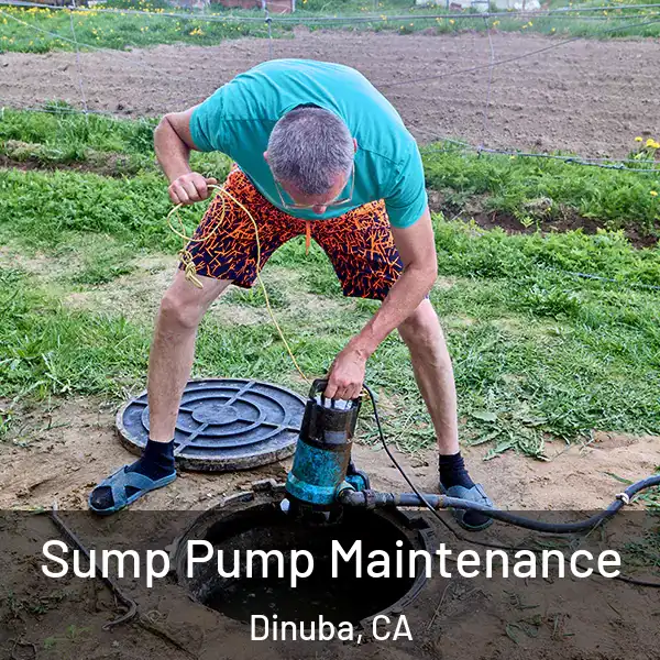  Sump Pump Maintenance Dinuba, CA