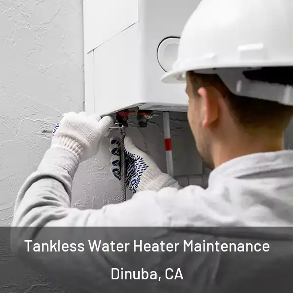  Tankless Water Heater Maintenance Dinuba, CA