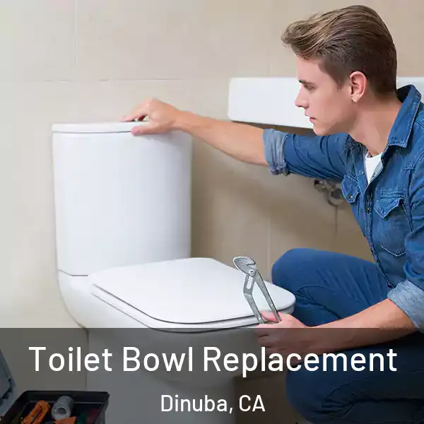  Toilet Bowl Replacement Dinuba, CA
