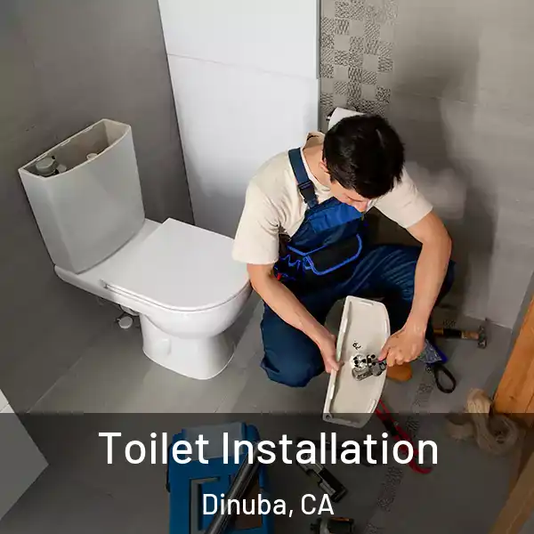  Toilet Installation Dinuba, CA