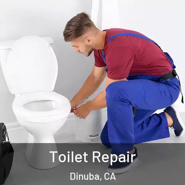  Toilet Repair Dinuba, CA