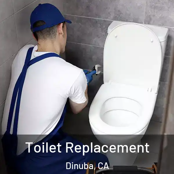  Toilet Replacement Dinuba, CA