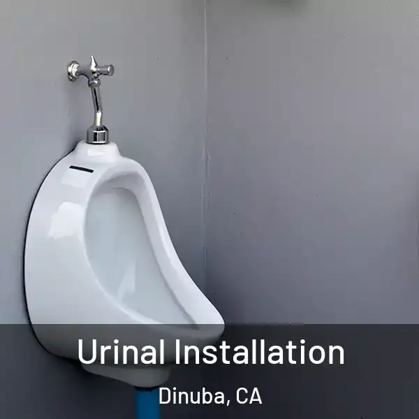  Urinal Installation Dinuba, CA