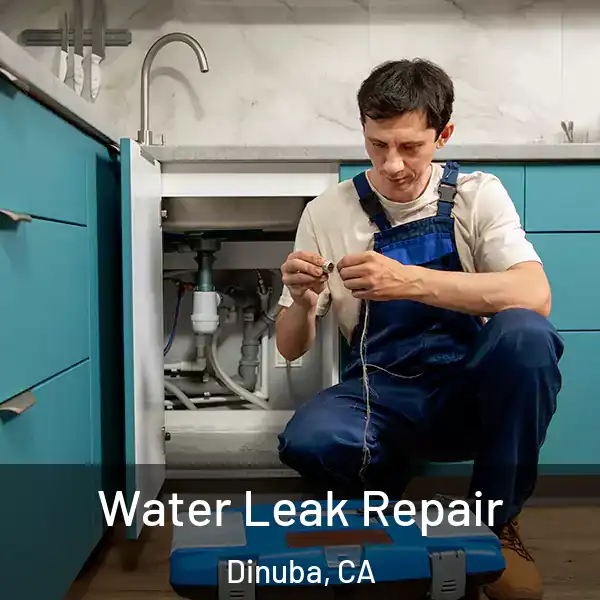  Water Leak Repair Dinuba, CA