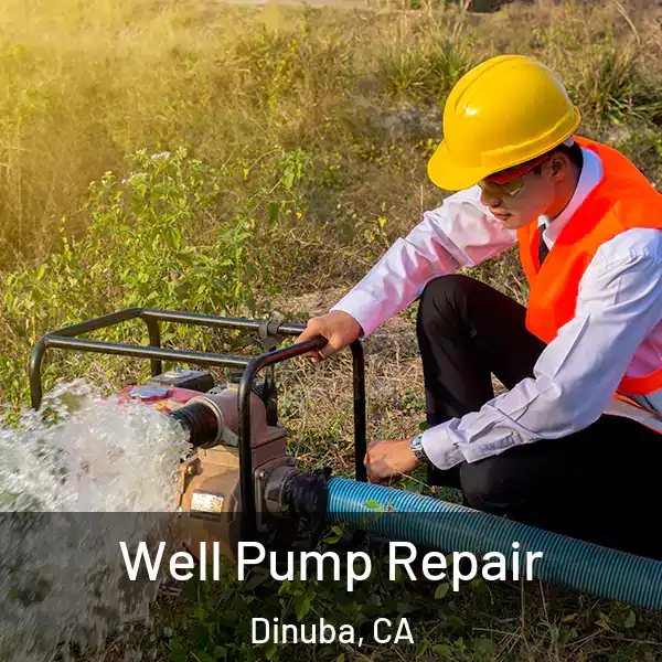  Well Pump Repair Dinuba, CA