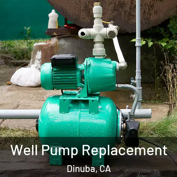  Well Pump Replacement Dinuba, CA